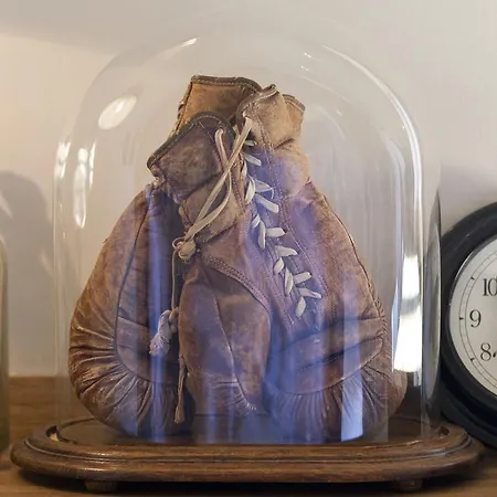 호텔 Boutique Hotel Box 5