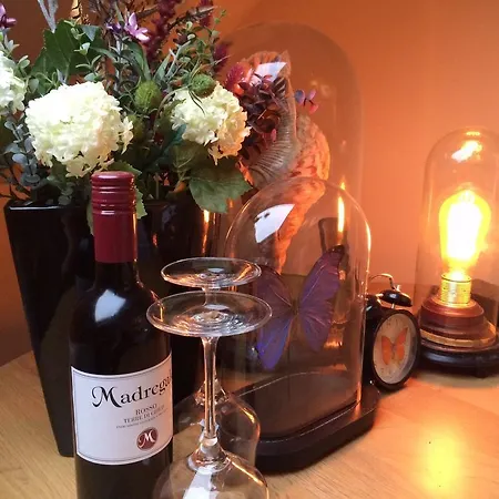 Boutique Hotel Box 5