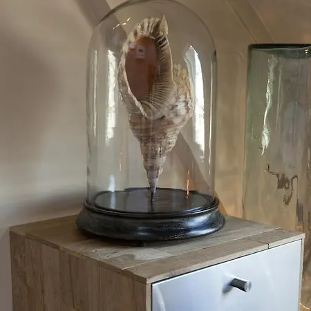 Boutique Hotel Box 5 3*